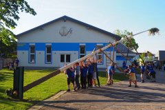 Maibaum 1