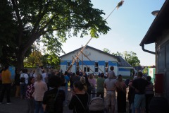 Maibaum 3