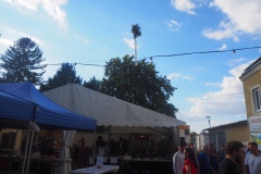 Baum steht